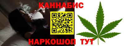сатива Можга
