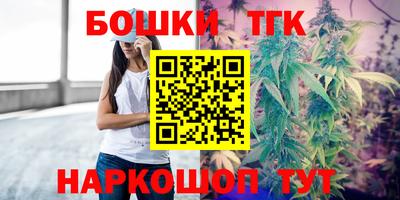 сатива Можга